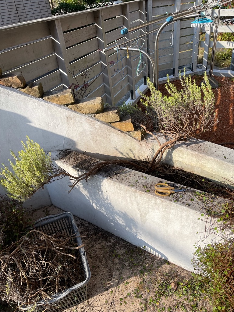 f:id:zappa38:20211120201159j:image f:id:zappa38:20211120201159j:image