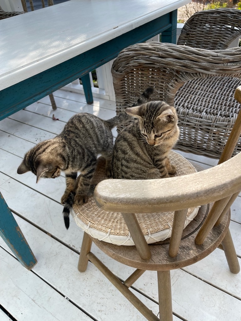 f:id:zappa38:20211120201220j:image f:id:zappa38:20211120201220j:image