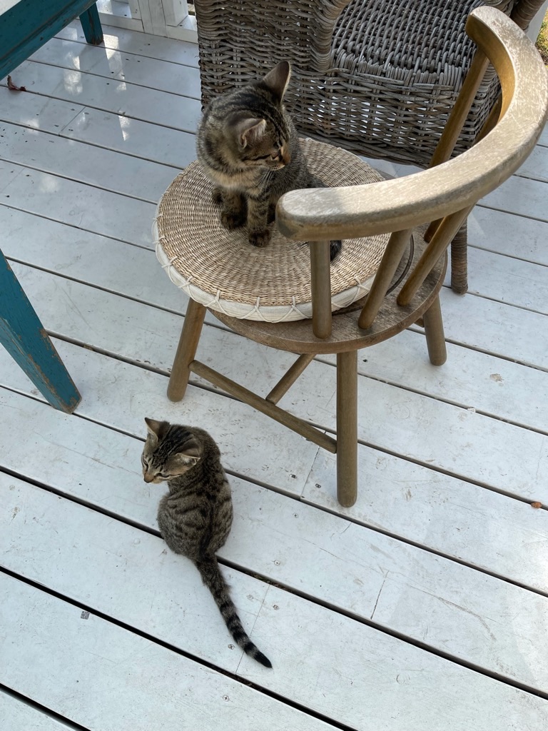 f:id:zappa38:20211120201228j:image f:id:zappa38:20211120201228j:image