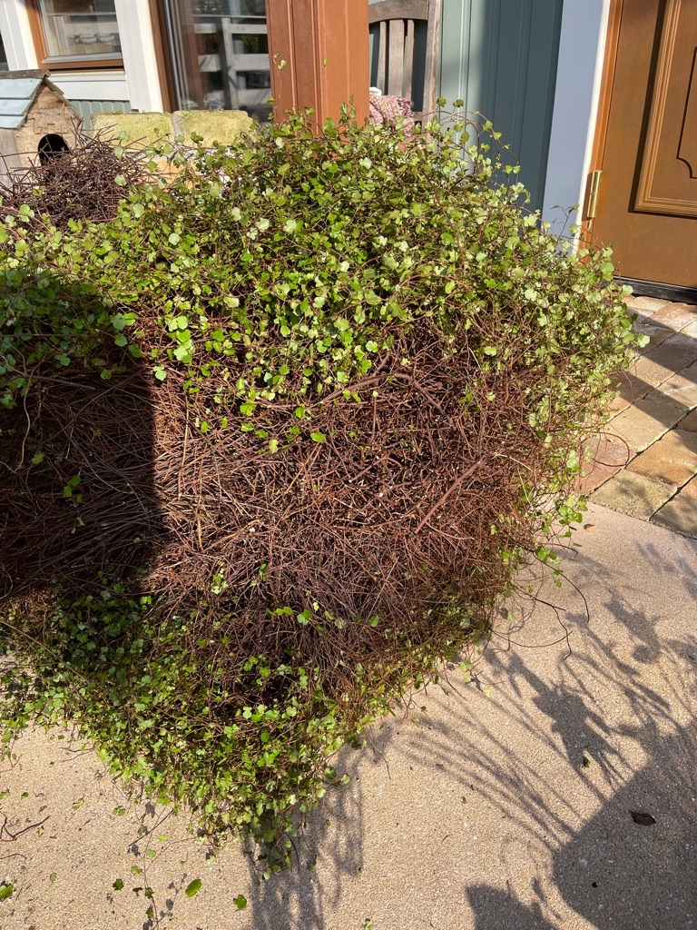 f:id:zappa38:20211120201233j:image f:id:zappa38:20211120201233j:image