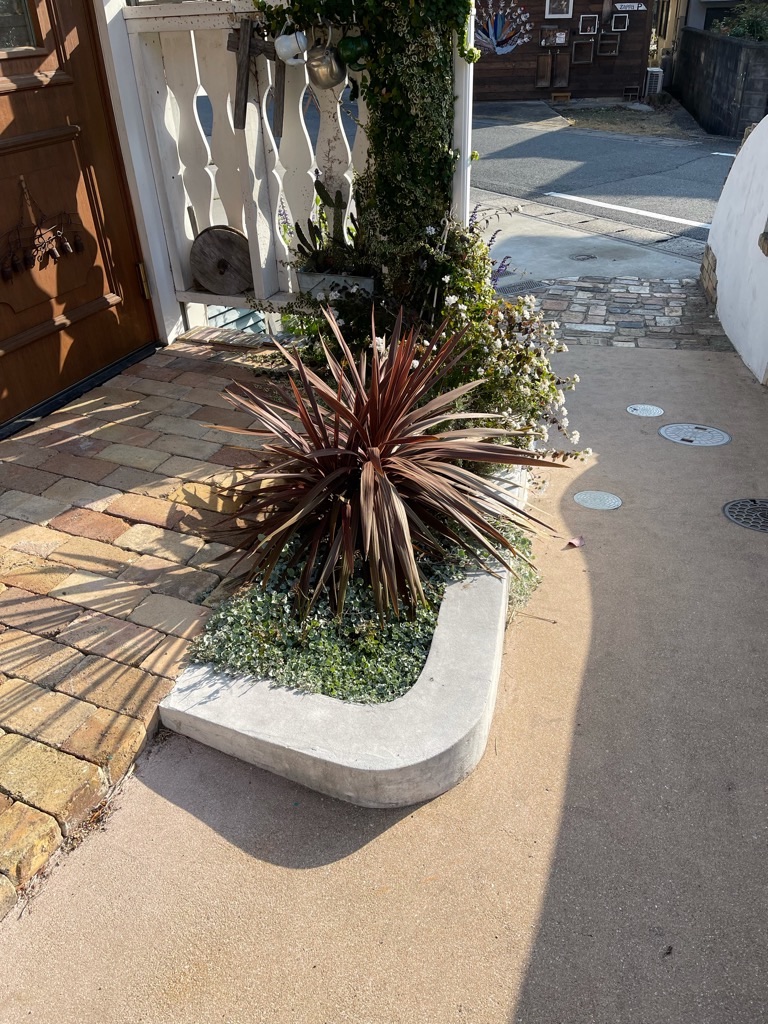 f:id:zappa38:20211120201247j:image f:id:zappa38:20211120201247j:image