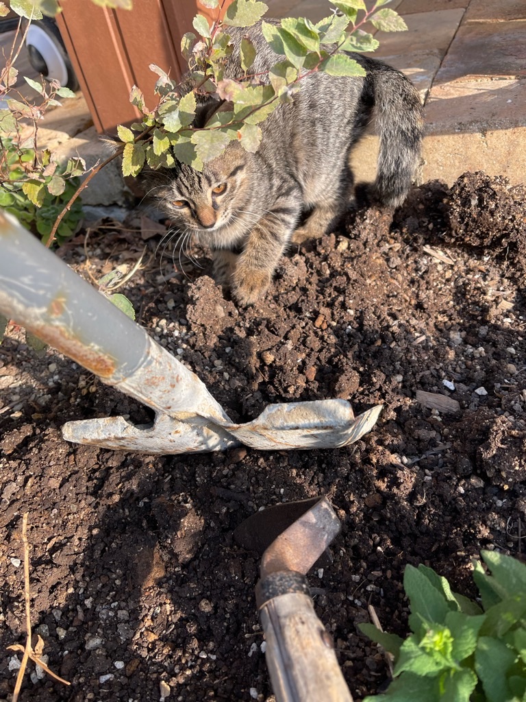 f:id:zappa38:20211120201251j:image f:id:zappa38:20211120201251j:image