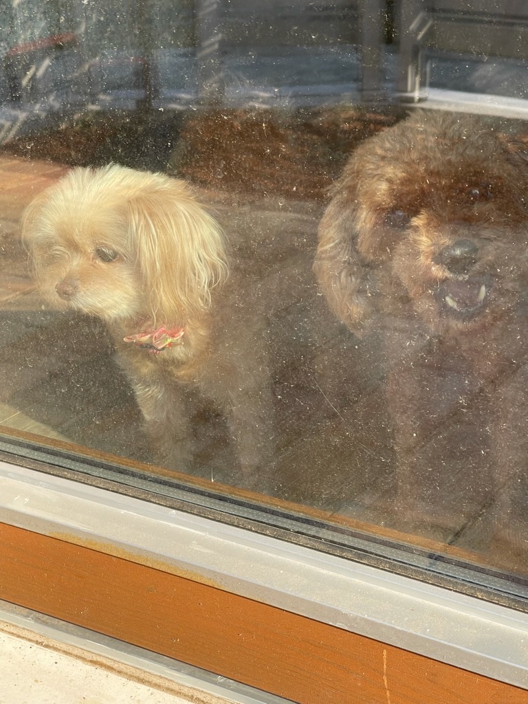 f:id:zappa38:20211120201306j:image f:id:zappa38:20211120201306j:image