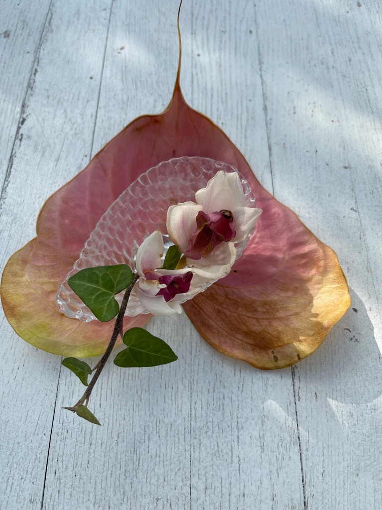 f:id:zappa38:20211120201322j:image f:id:zappa38:20211120201322j:image