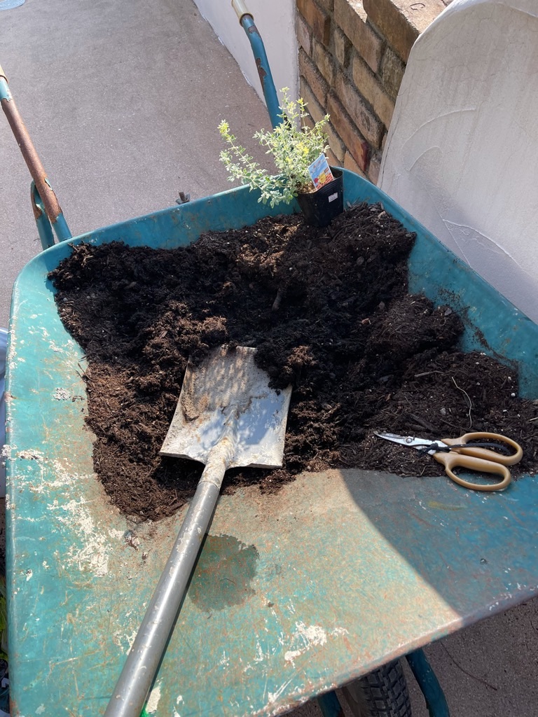 f:id:zappa38:20211120201324j:image f:id:zappa38:20211120201324j:image