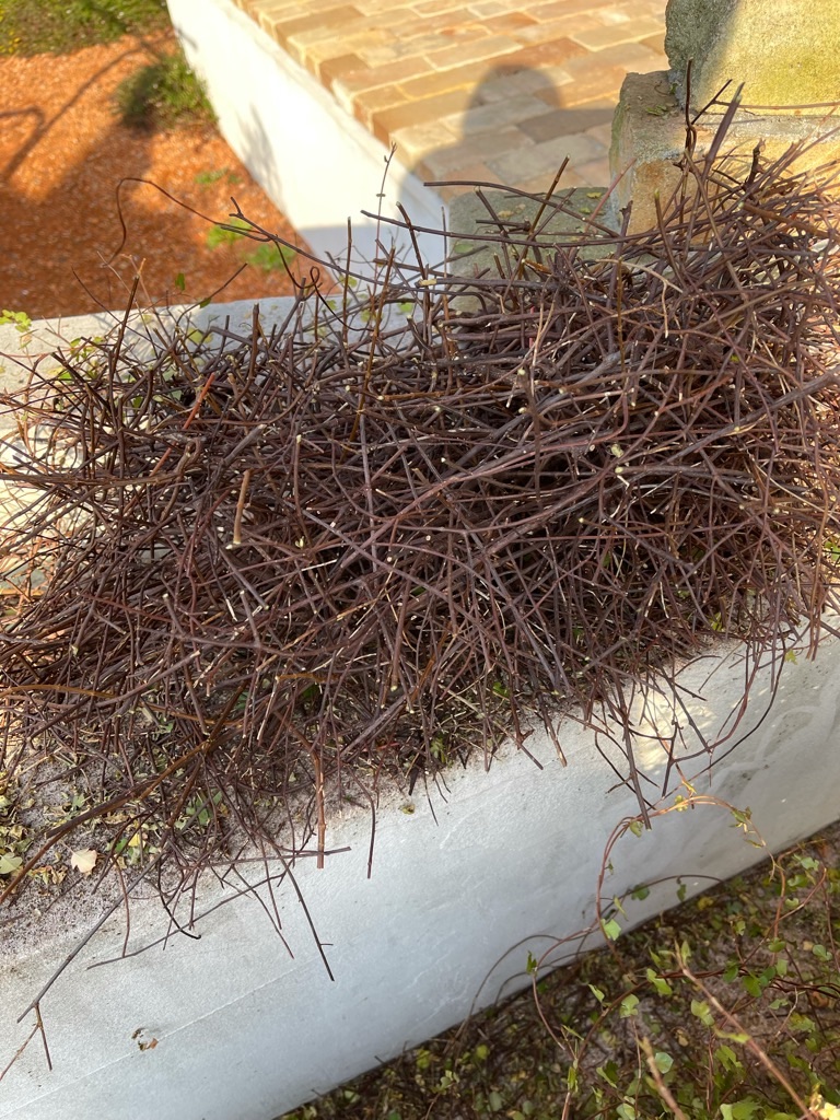 f:id:zappa38:20211120201327j:image f:id:zappa38:20211120201327j:image