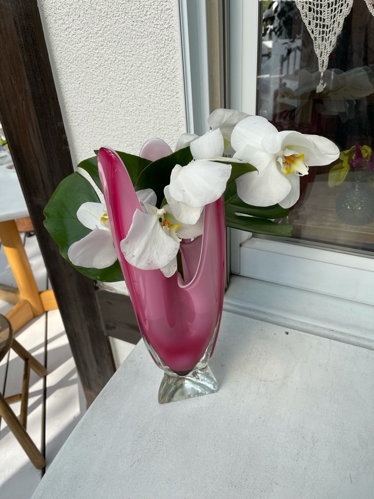 f:id:zappa38:20211120201334j:image f:id:zappa38:20211120201334j:image