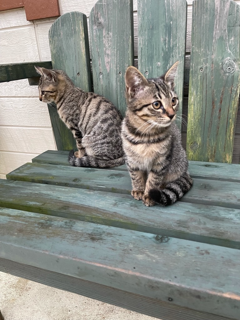 f:id:zappa38:20211122195935j:image f:id:zappa38:20211122195935j:image