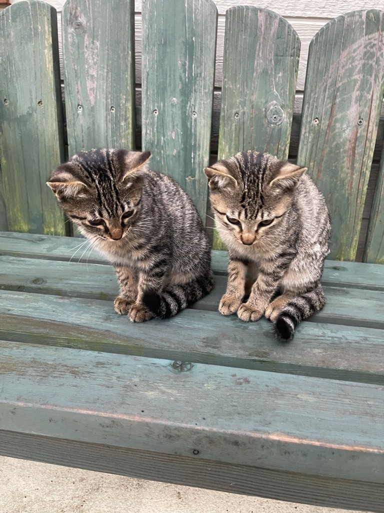 f:id:zappa38:20211122195955j:image f:id:zappa38:20211122195955j:image