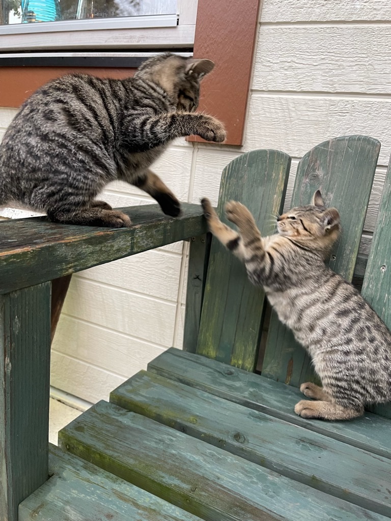 f:id:zappa38:20211122195958j:image f:id:zappa38:20211122195958j:image