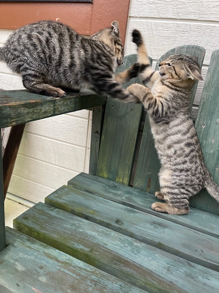 f:id:zappa38:20211122200105j:image f:id:zappa38:20211122200105j:image