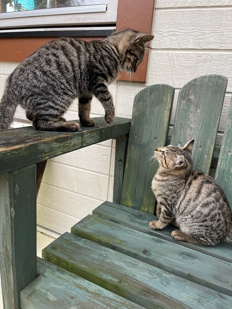 f:id:zappa38:20211122200130j:image f:id:zappa38:20211122200130j:image