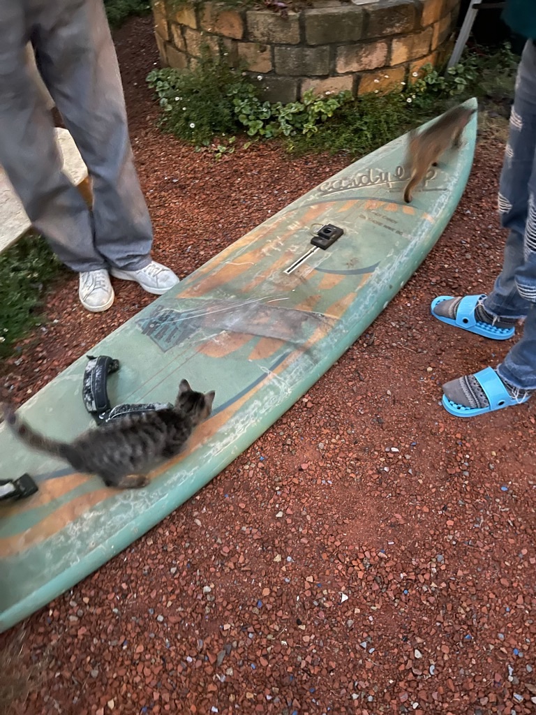 f:id:zappa38:20211122203449j:image f:id:zappa38:20211122203449j:image