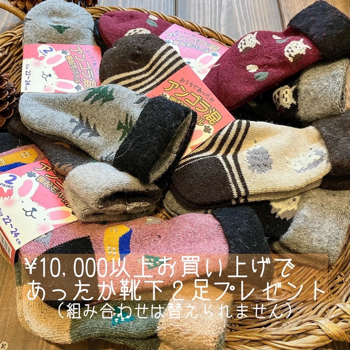 f:id:zappa38:20211123054616j:plain