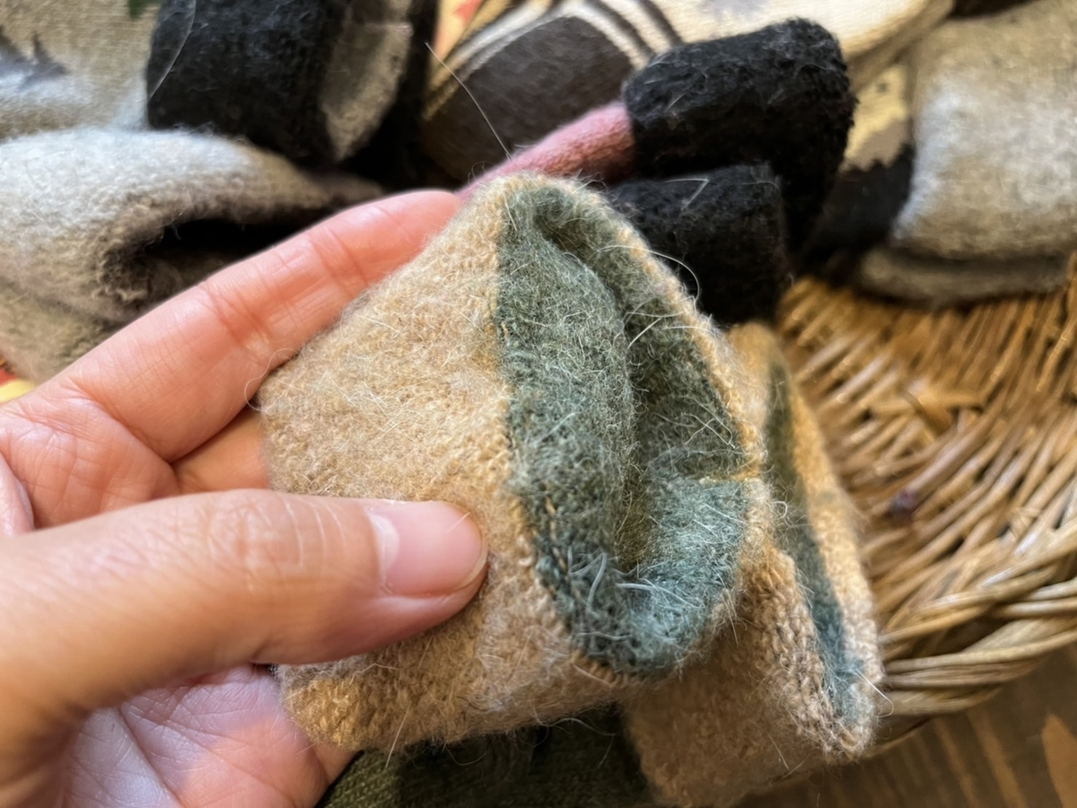 f:id:zappa38:20211123054627j:plain