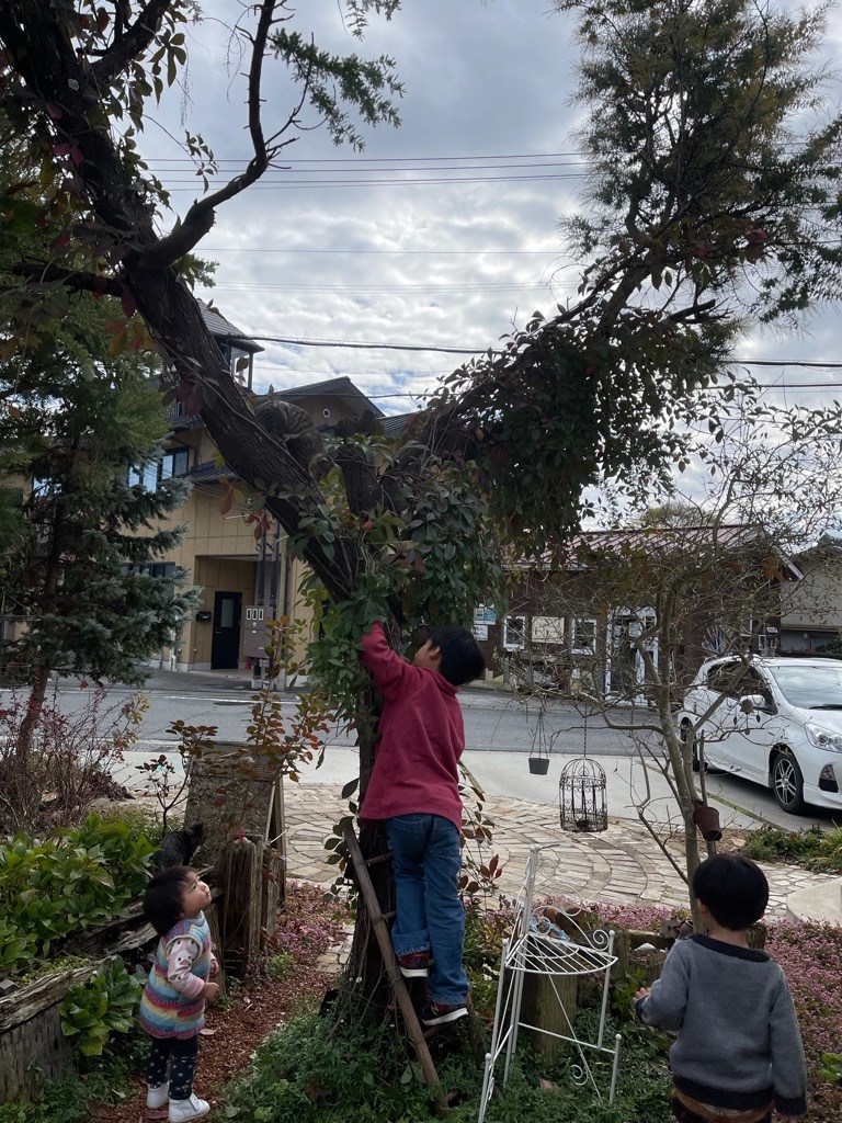 f:id:zappa38:20211123193429j:image f:id:zappa38:20211123193429j:image