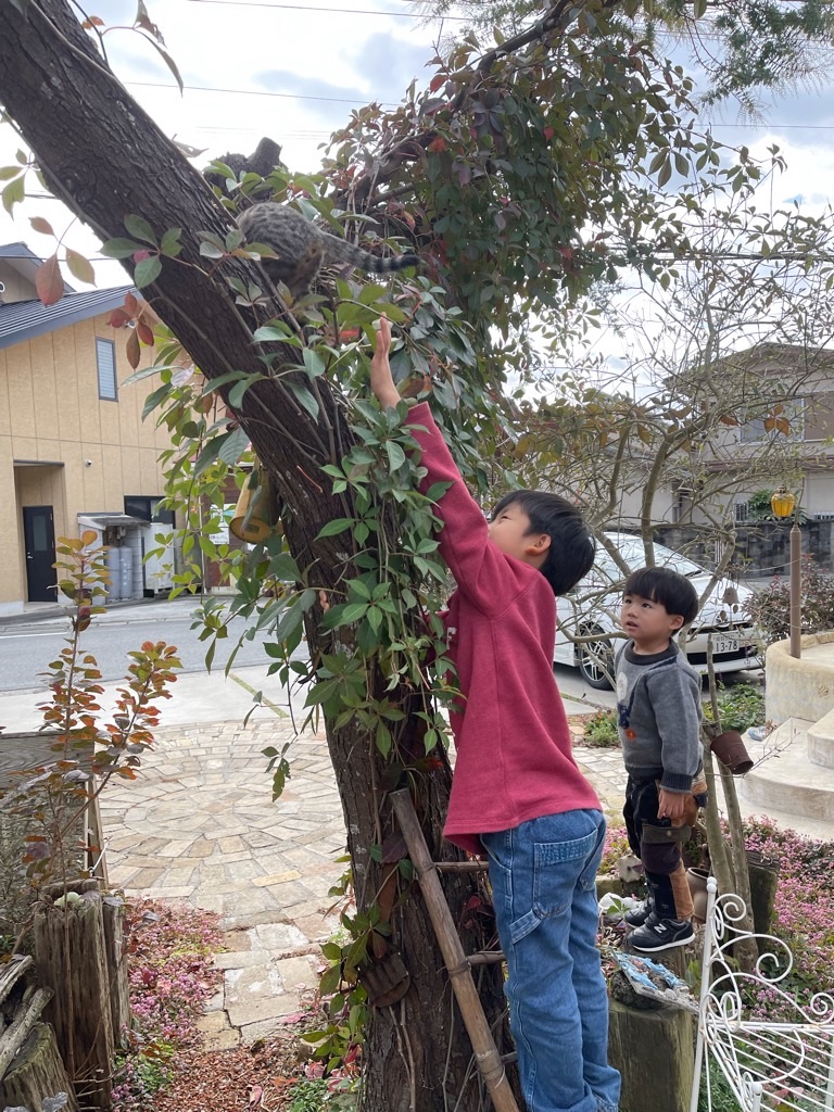 f:id:zappa38:20211123193439j:image f:id:zappa38:20211123193439j:image