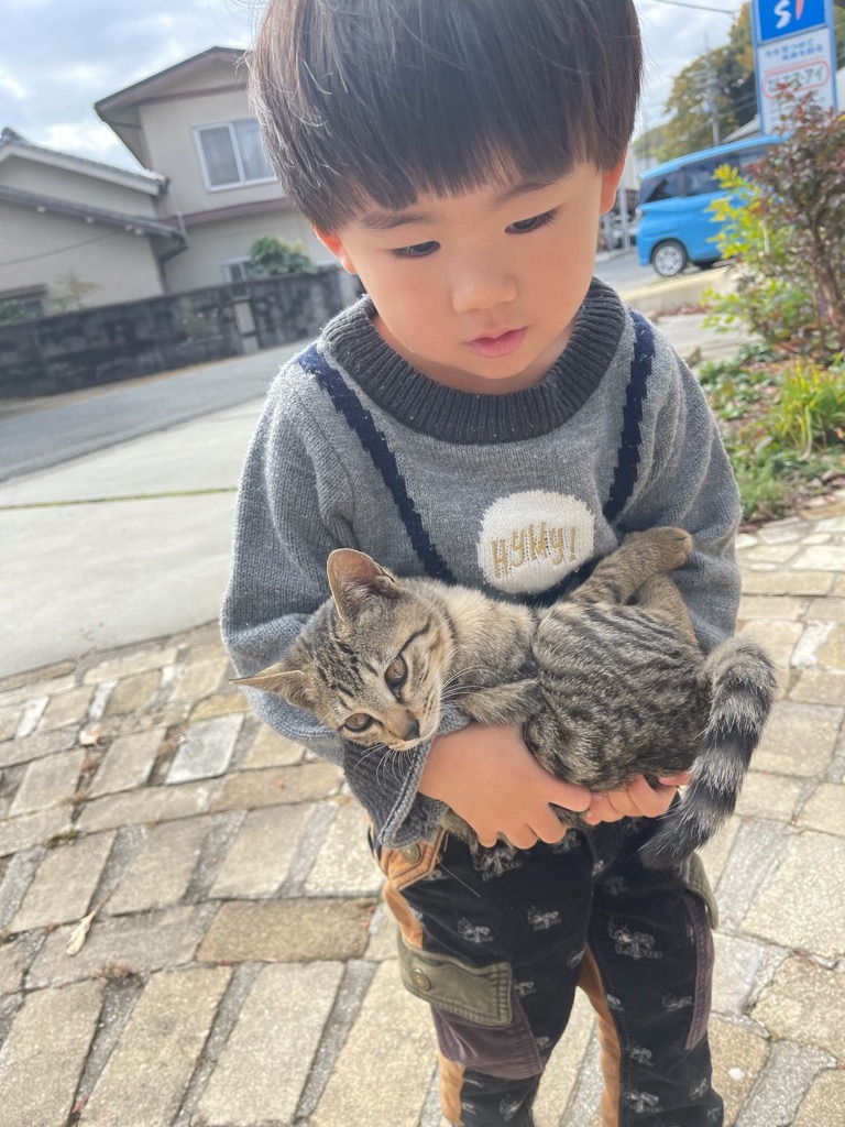 f:id:zappa38:20211123193455j:image f:id:zappa38:20211123193455j:image