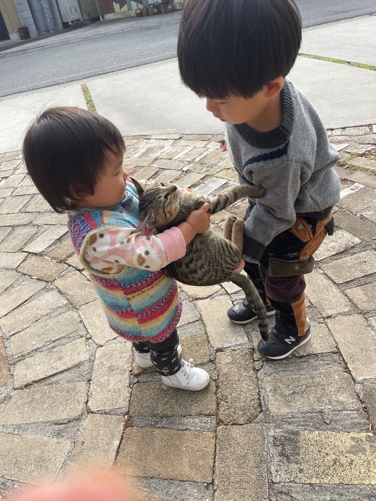 f:id:zappa38:20211123193459j:image f:id:zappa38:20211123193459j:image