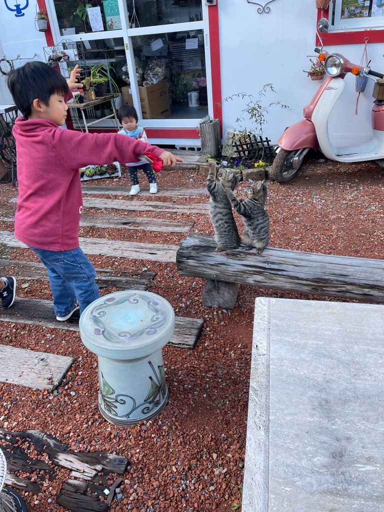 f:id:zappa38:20211123193503j:image f:id:zappa38:20211123193503j:image