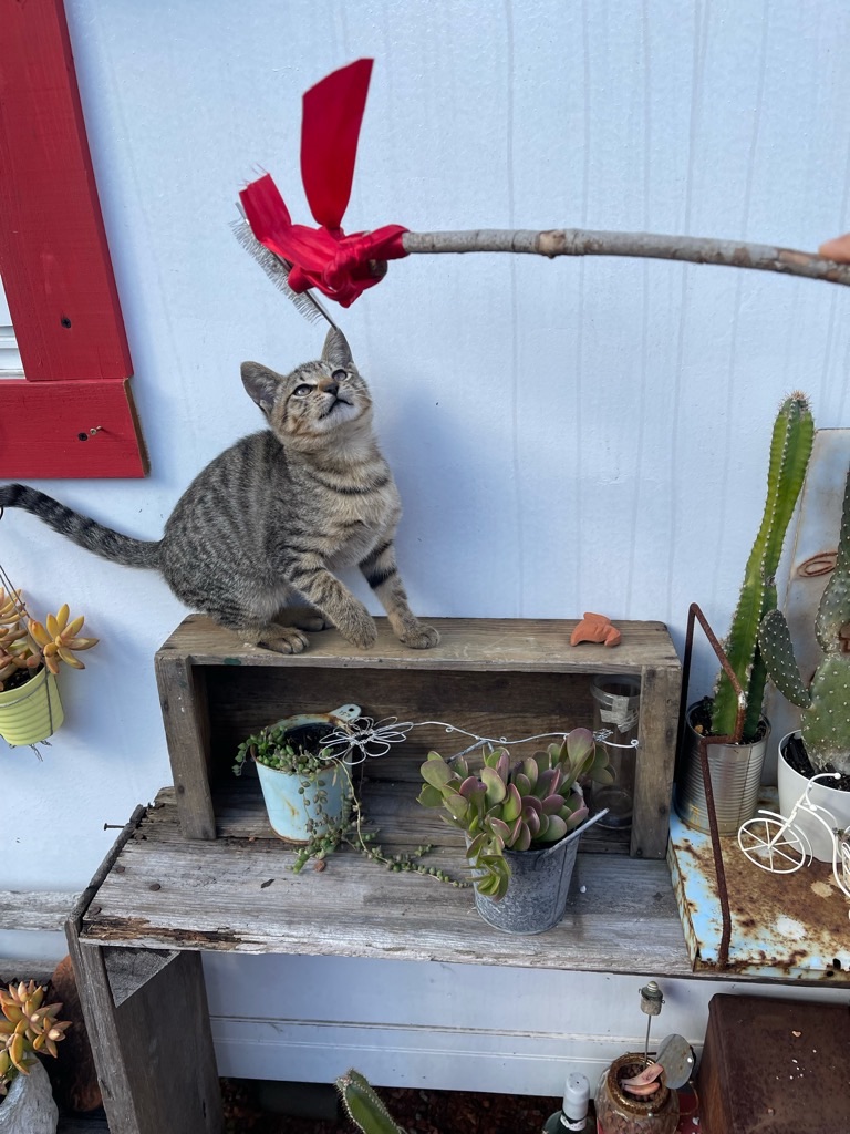 f:id:zappa38:20211123193639j:image f:id:zappa38:20211123193639j:image