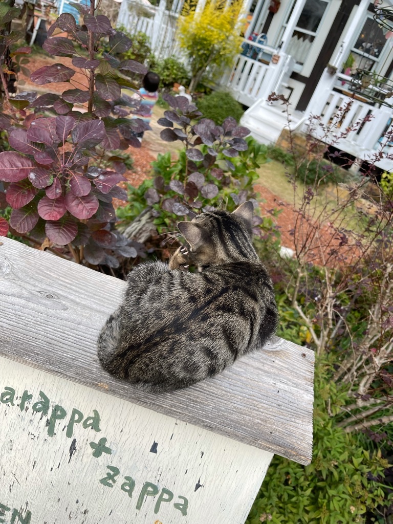 f:id:zappa38:20211123193642j:image f:id:zappa38:20211123193642j:image