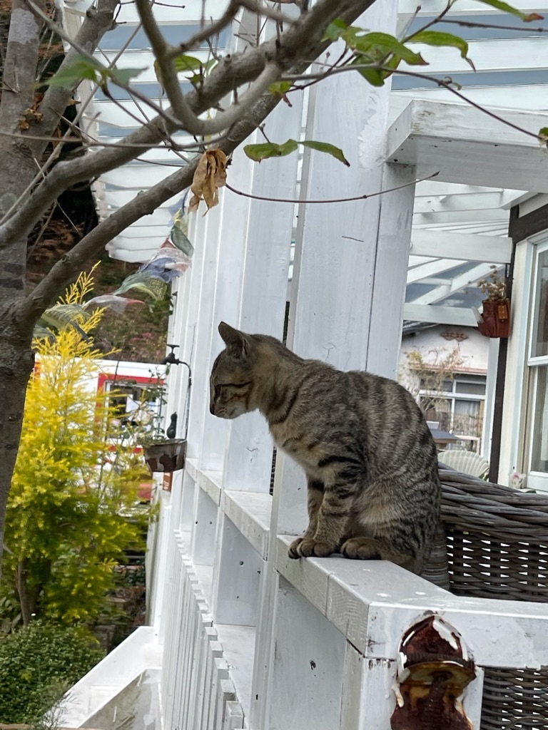 f:id:zappa38:20211123193648j:image f:id:zappa38:20211123193648j:image