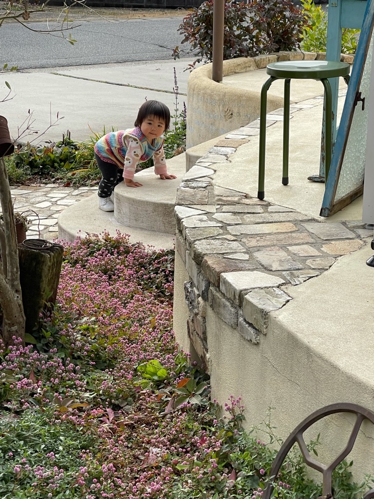 f:id:zappa38:20211123193658j:image f:id:zappa38:20211123193658j:image