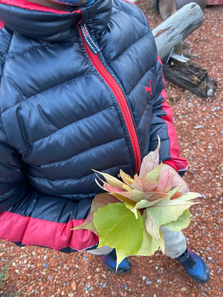 f:id:zappa38:20211123193706j:image f:id:zappa38:20211123193706j:image