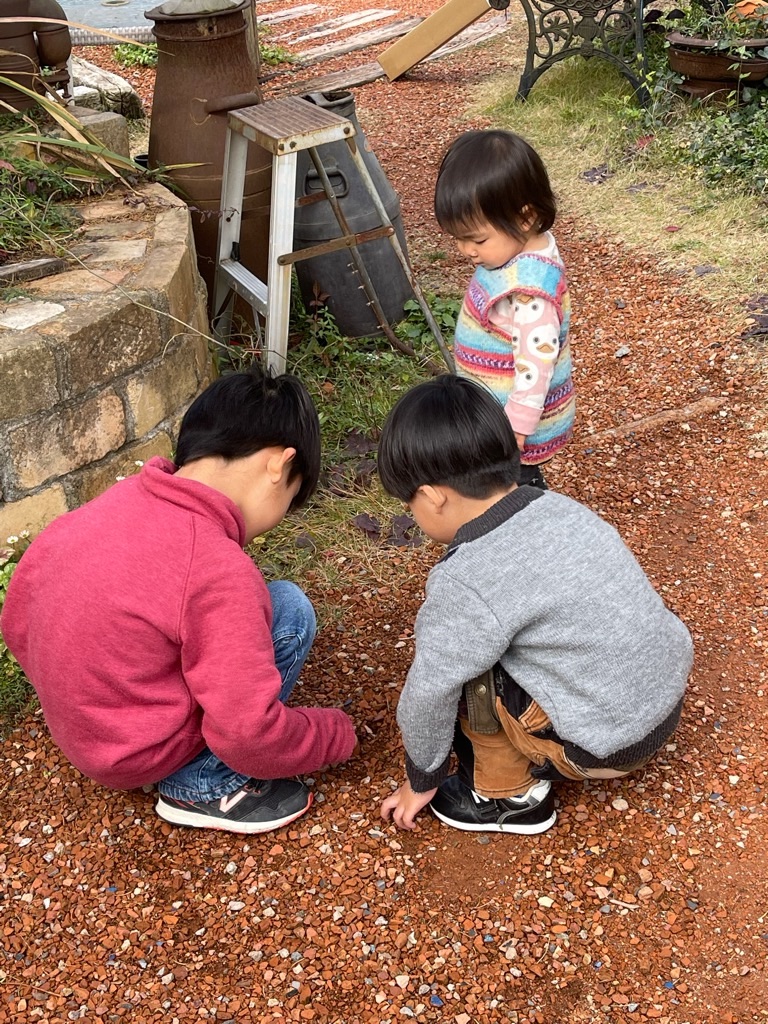 f:id:zappa38:20211123193726j:image f:id:zappa38:20211123193726j:image