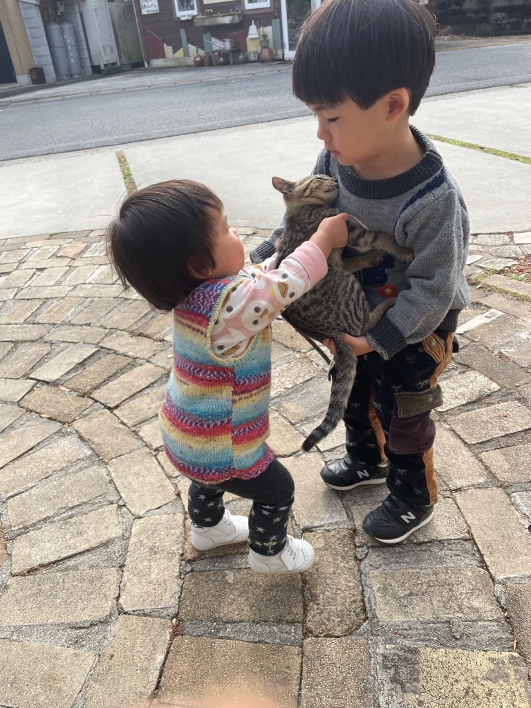 f:id:zappa38:20211123200003j:image f:id:zappa38:20211123200003j:image