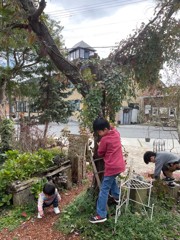 f:id:zappa38:20211123200009j:image f:id:zappa38:20211123200009j:image