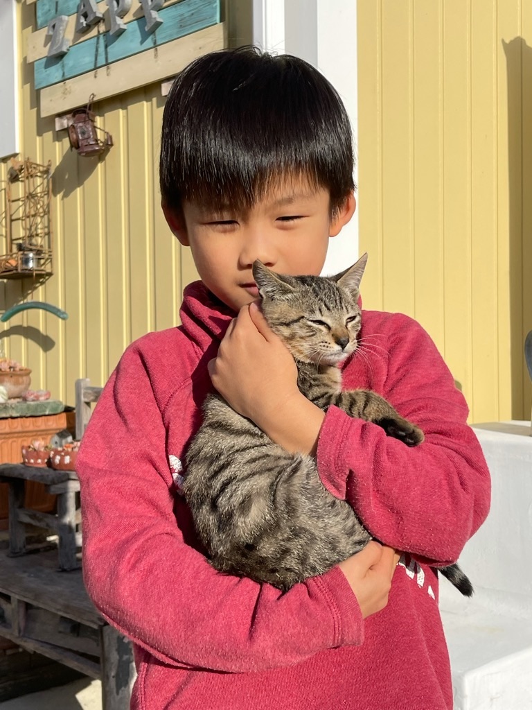 f:id:zappa38:20211123200019j:image f:id:zappa38:20211123200019j:image