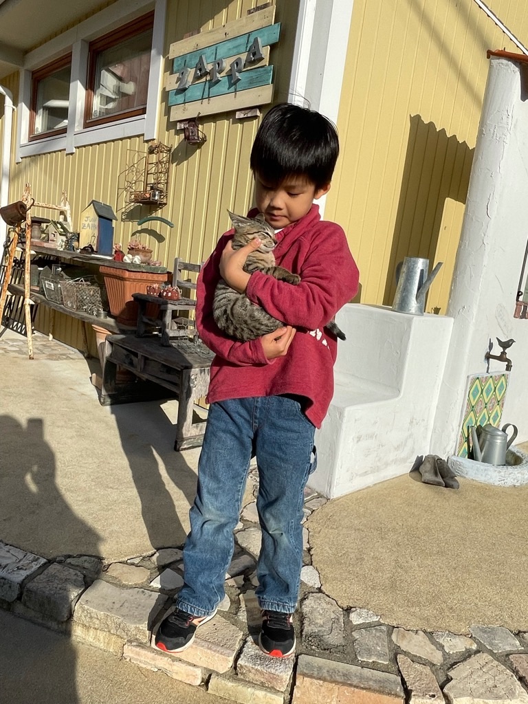 f:id:zappa38:20211123200022j:image f:id:zappa38:20211123200022j:image