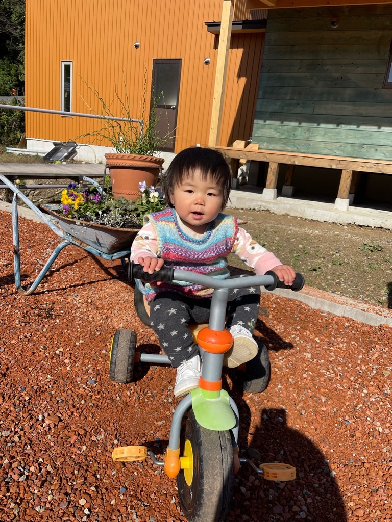 f:id:zappa38:20211123200031j:image f:id:zappa38:20211123200031j:image