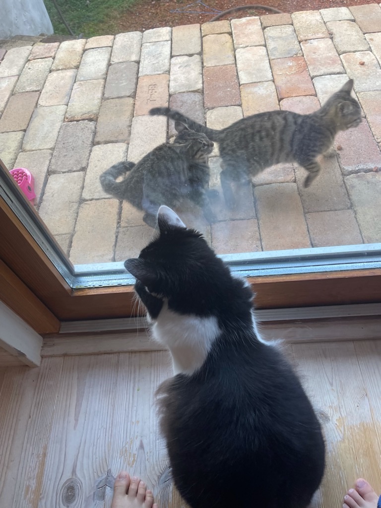 f:id:zappa38:20211125205348j:image f:id:zappa38:20211125205348j:image