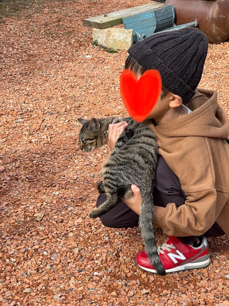 f:id:zappa38:20211128173339j:image