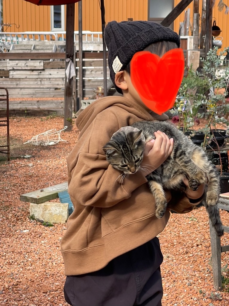 f:id:zappa38:20211128173346j:image