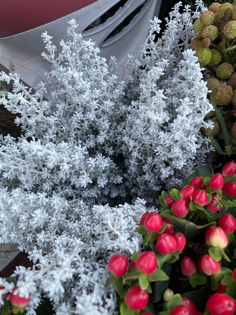 f:id:zappa38:20211129165442j:image f:id:zappa38:20211129165442j:image