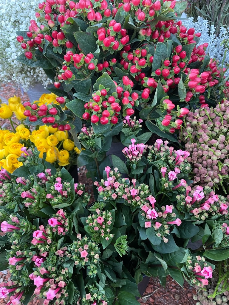 f:id:zappa38:20211129165445j:image f:id:zappa38:20211129165445j:image