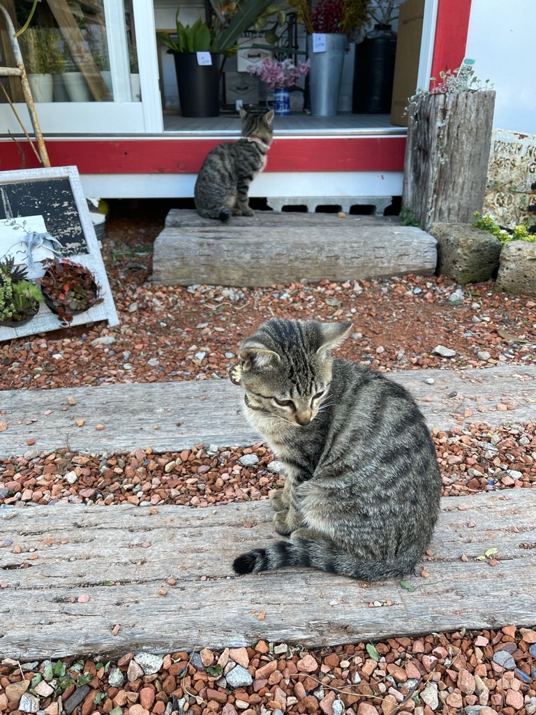 f:id:zappa38:20211129165458j:image f:id:zappa38:20211129165458j:image