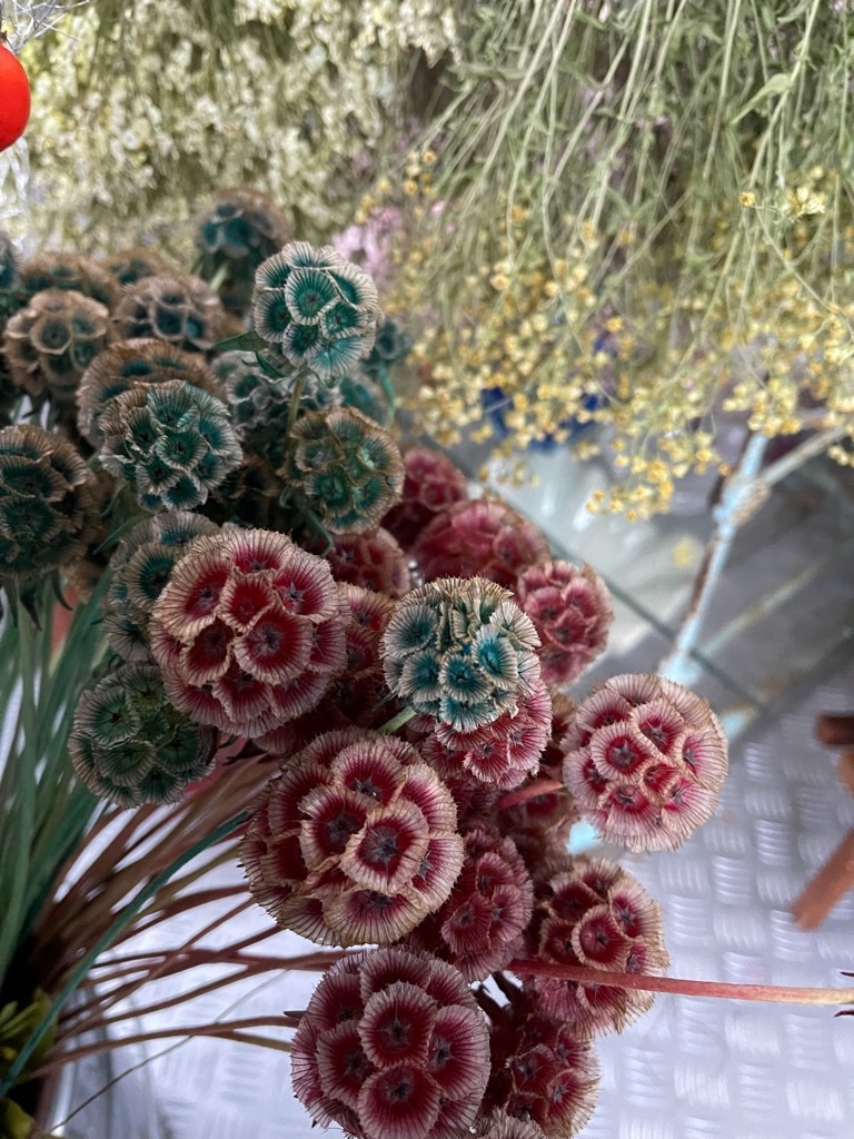 f:id:zappa38:20211129165516j:image f:id:zappa38:20211129165516j:image