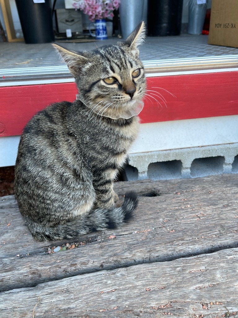 f:id:zappa38:20211129165521j:image f:id:zappa38:20211129165521j:image