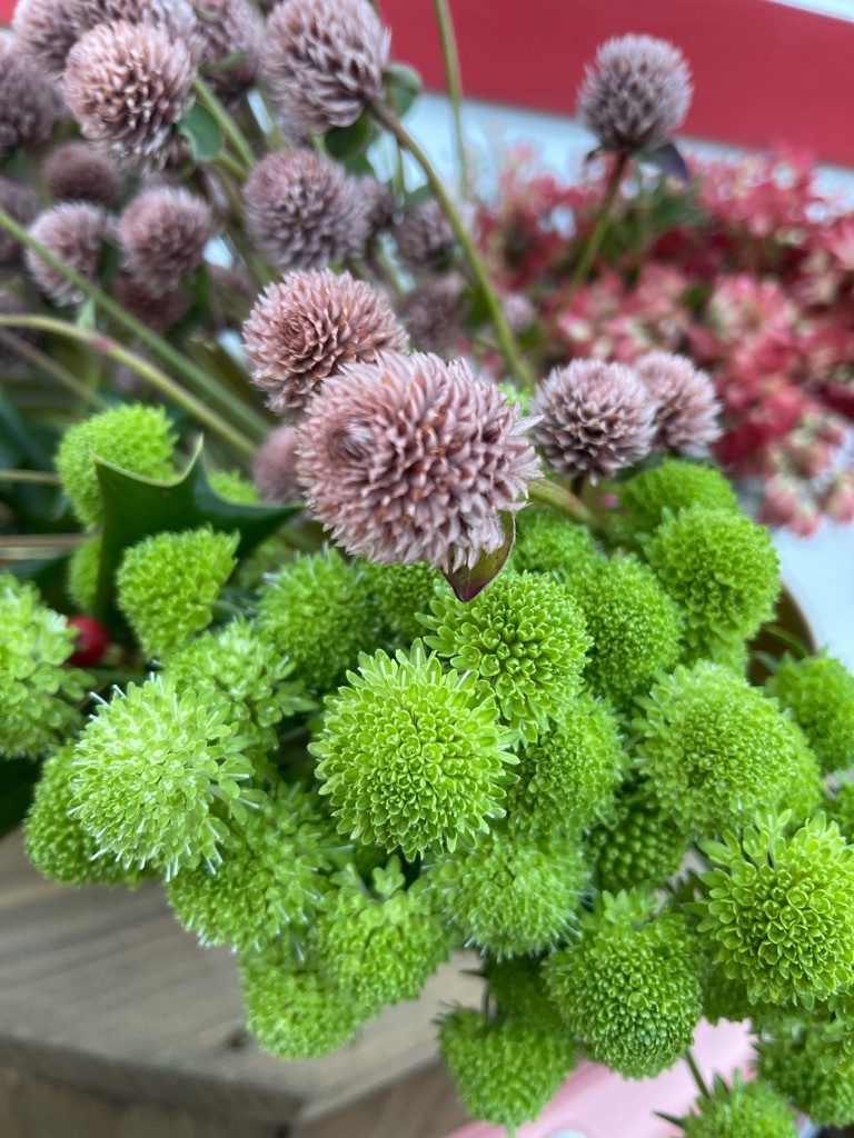 f:id:zappa38:20211129165523j:image f:id:zappa38:20211129165523j:image