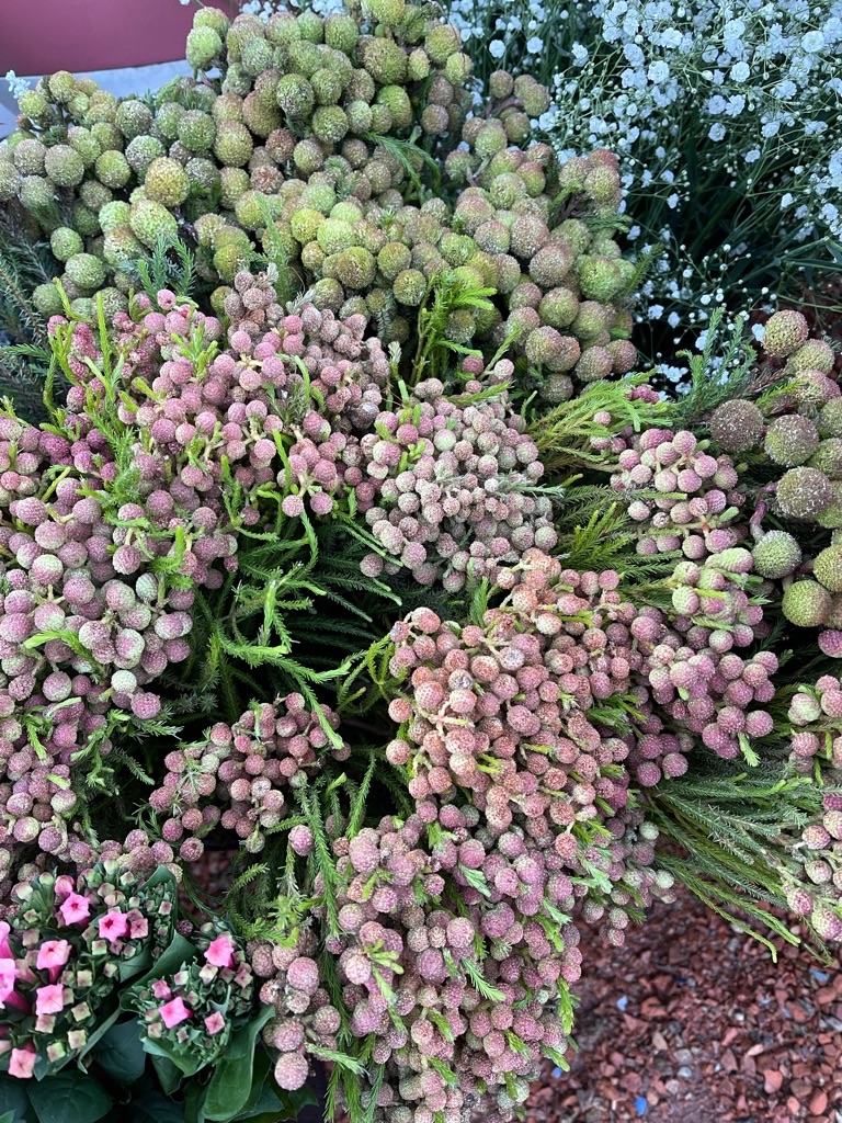 f:id:zappa38:20211129165529j:image f:id:zappa38:20211129165529j:image