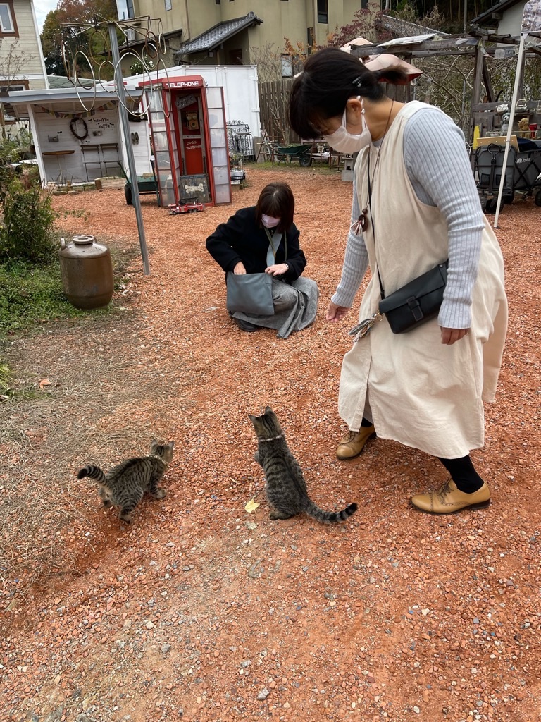 f:id:zappa38:20211208120325j:image f:id:zappa38:20211208120325j:image