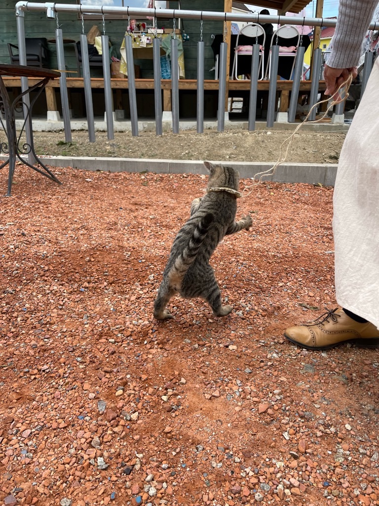 f:id:zappa38:20211208120341j:image f:id:zappa38:20211208120341j:image