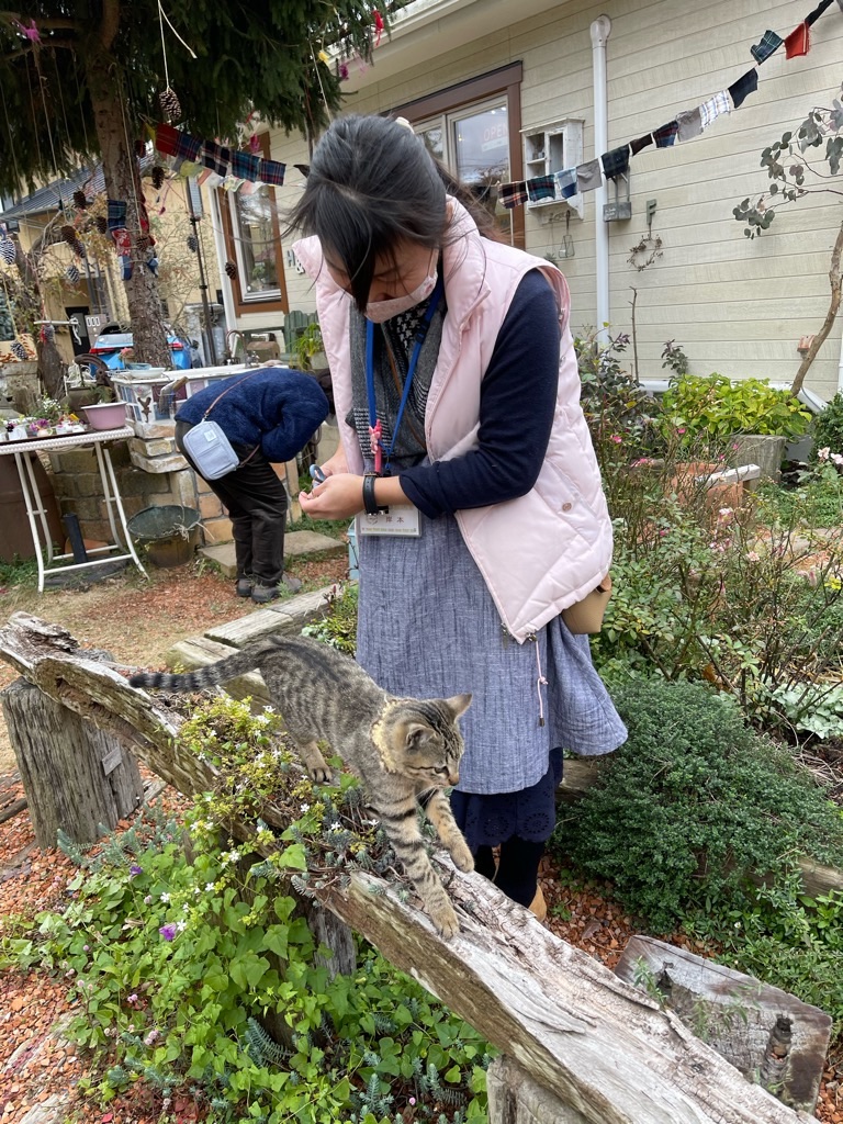 f:id:zappa38:20211208120343j:image f:id:zappa38:20211208120343j:image