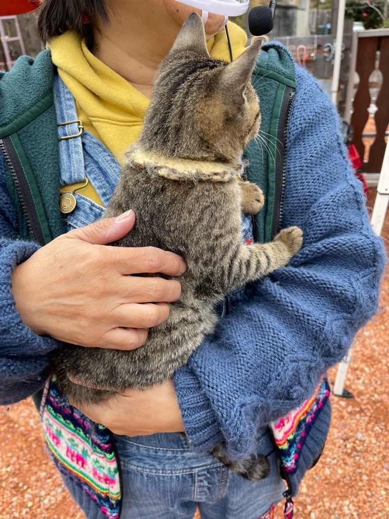 f:id:zappa38:20211208120347j:image f:id:zappa38:20211208120347j:image