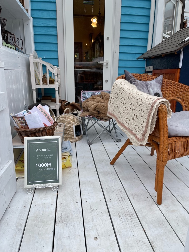 f:id:zappa38:20211208120353j:image f:id:zappa38:20211208120353j:image